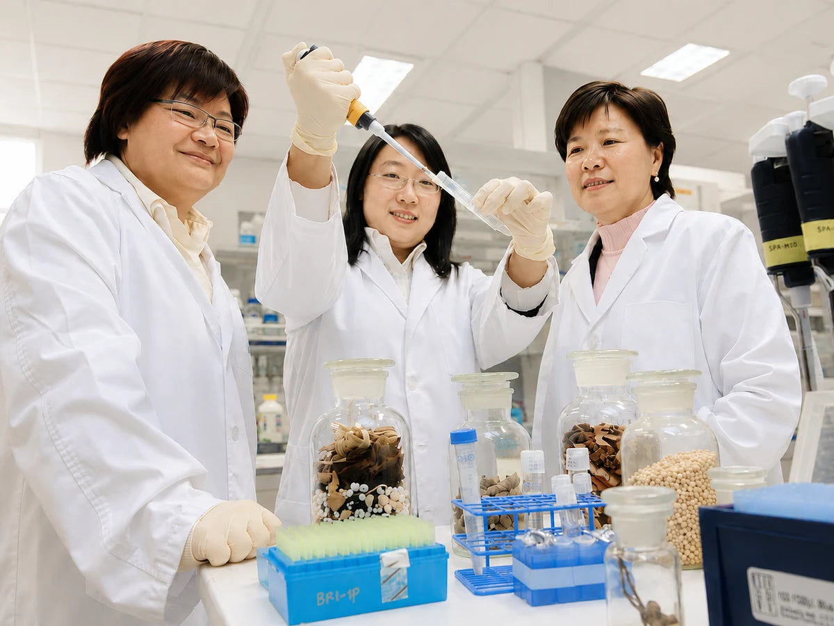 Three researchers in white coats at a laboratory bench, drawing a sample beside jars of dried botanicals